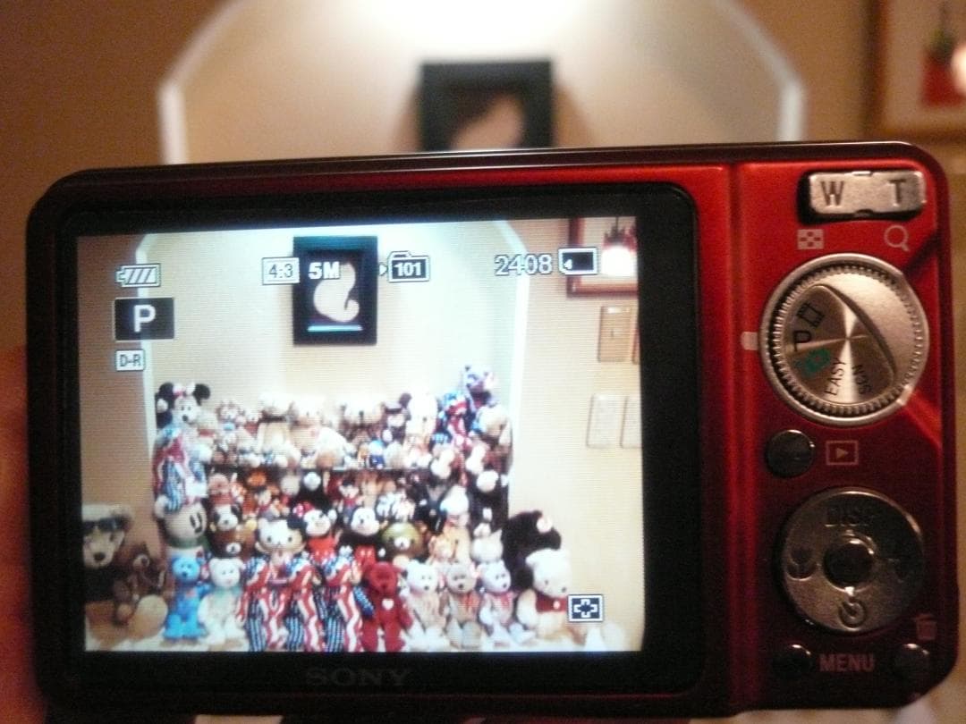 SONY★DSC-W270⭐️美品⭕️安心の実働品★5倍ズーム★1210万画素