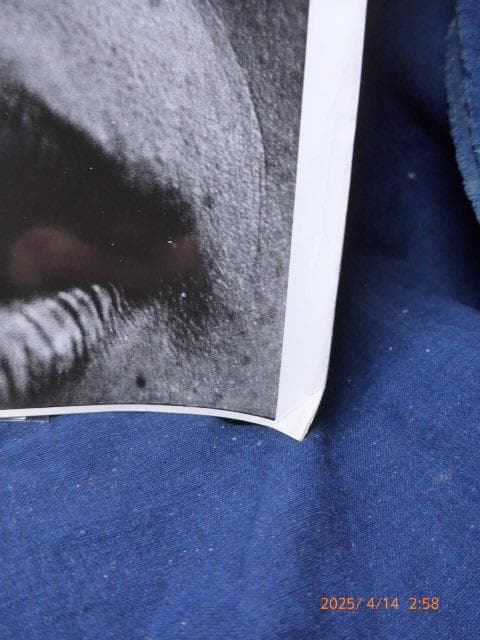 godew　貴重です。一村哲也の「カム・アップ」に掲載、オリジナルプリント