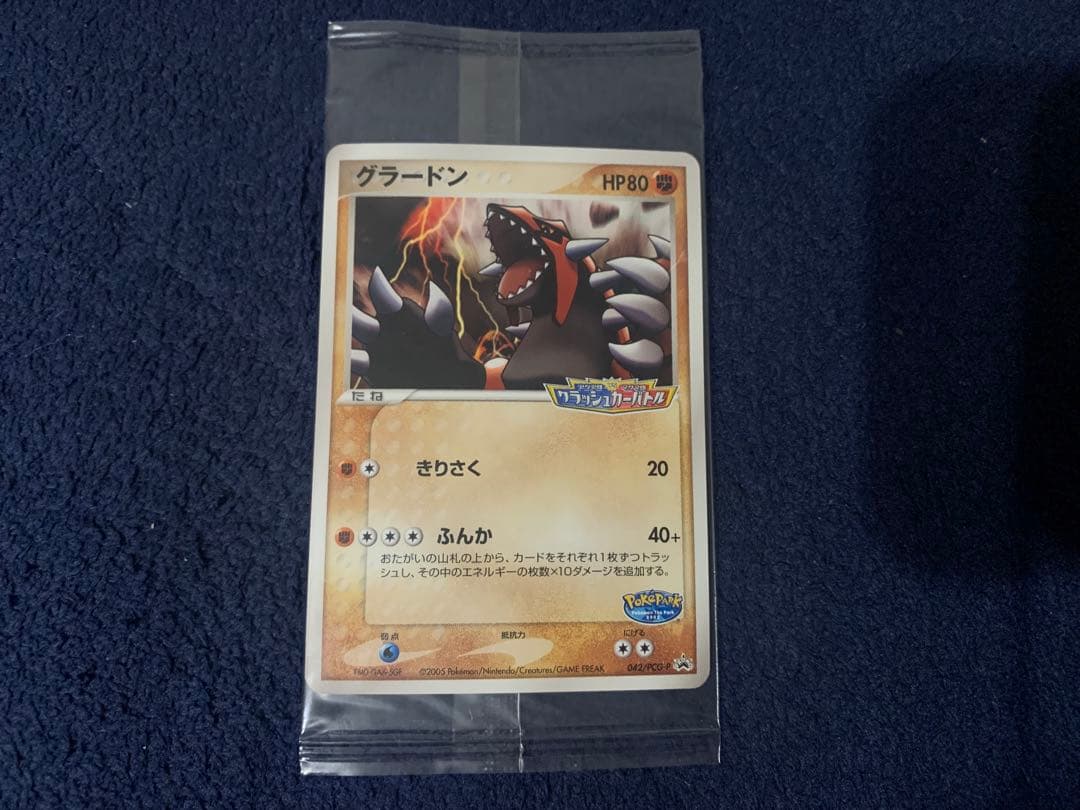 ポケパーク グラードン プロモ 042/PCG-P ポケモンカード 未開封
