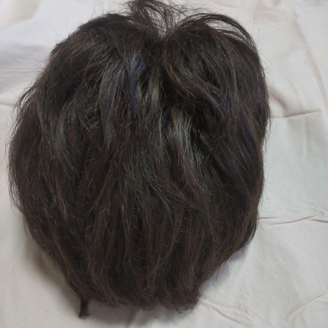 フォンテーヌ　人毛ウィッグ（中古）