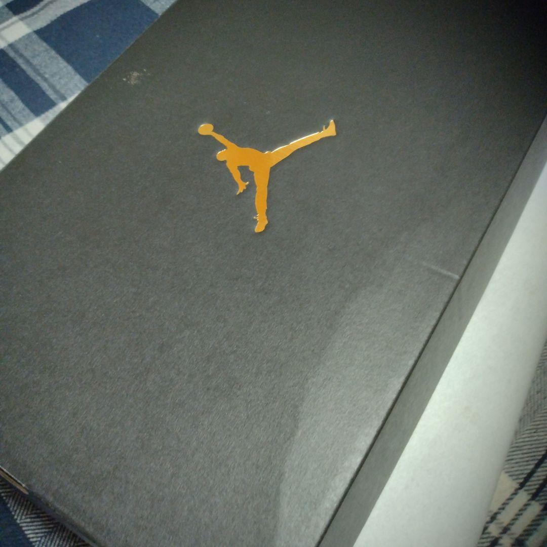 Air Jordan 1 Low ゴルフ 10.5 ホワイト　クロコダイルスキン