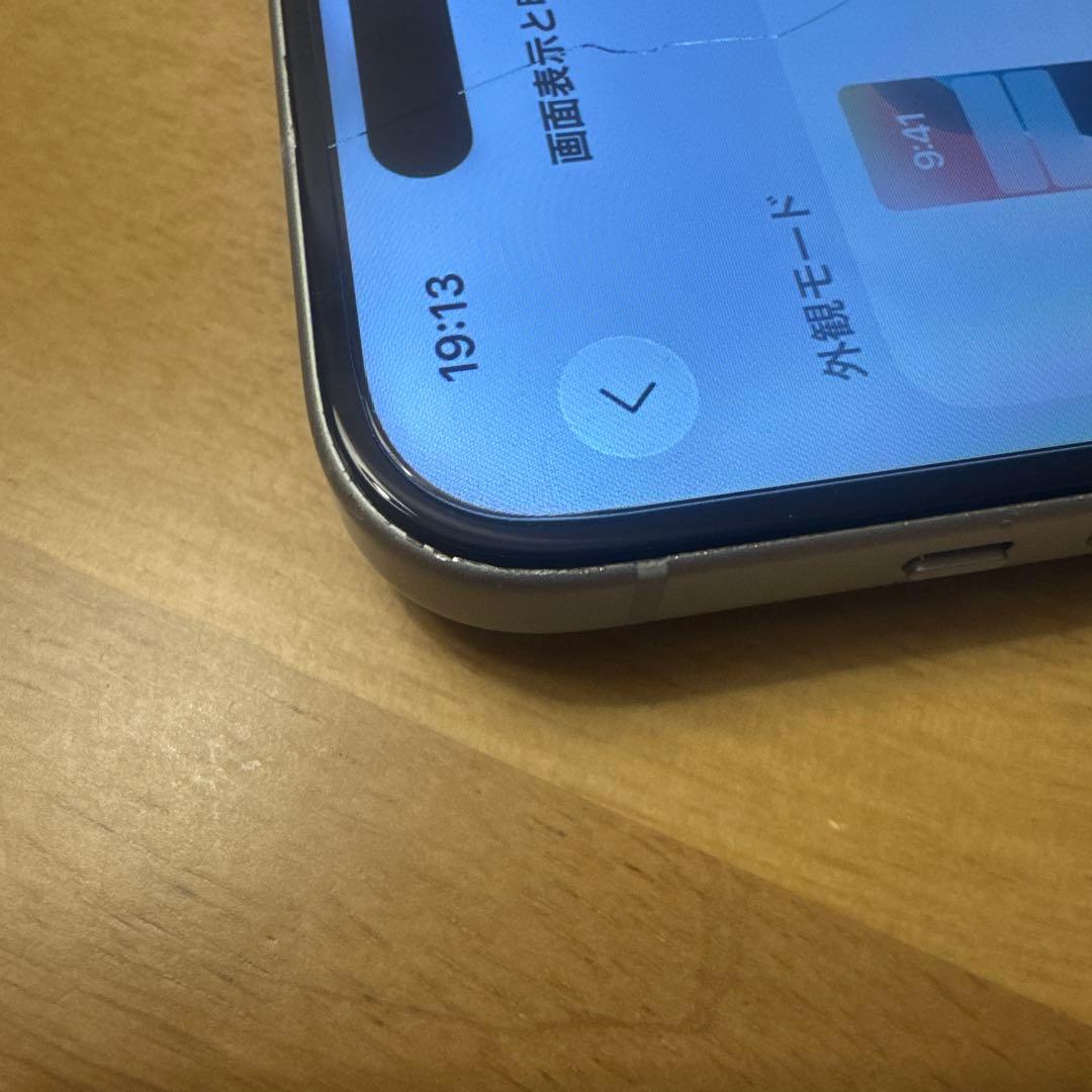 Apple iPhone 15 本体