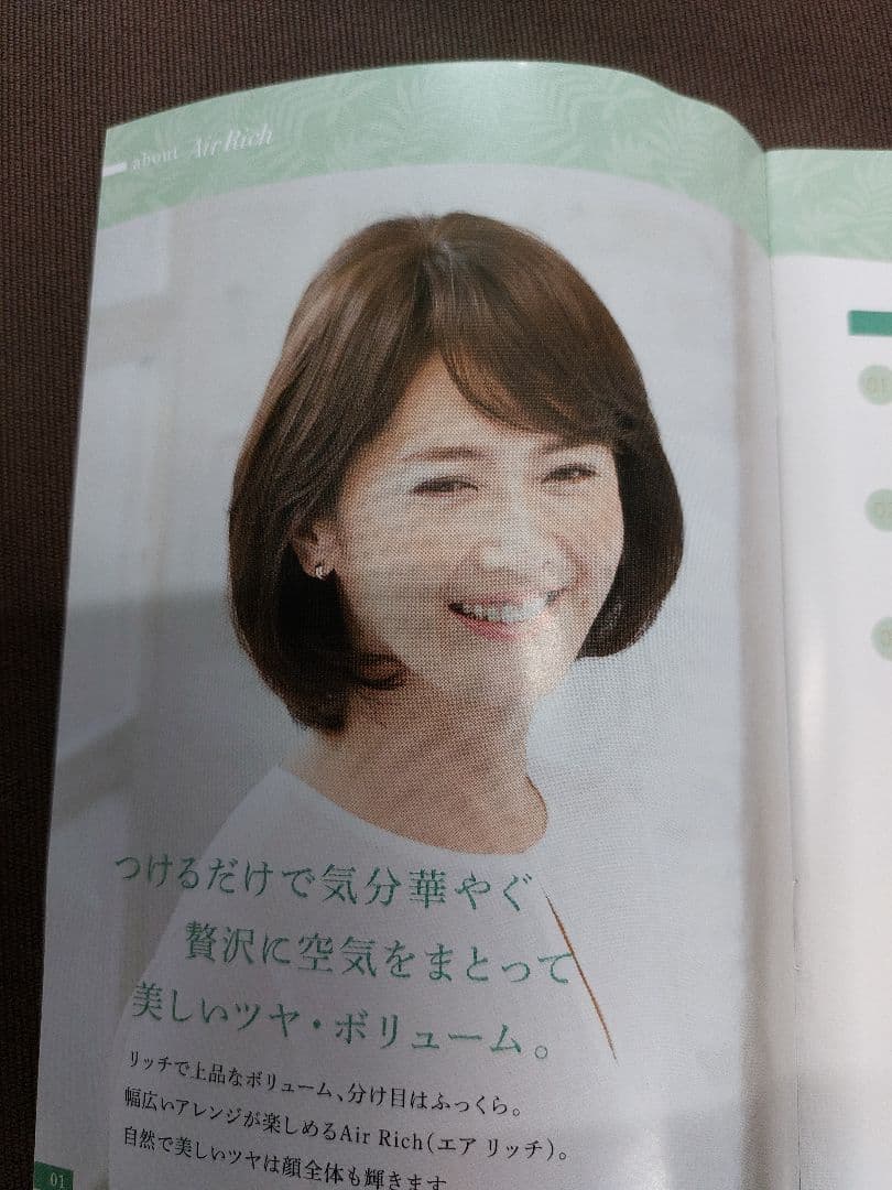 Air Rich エアリッチ ウィッグ 女性用 ブラウン