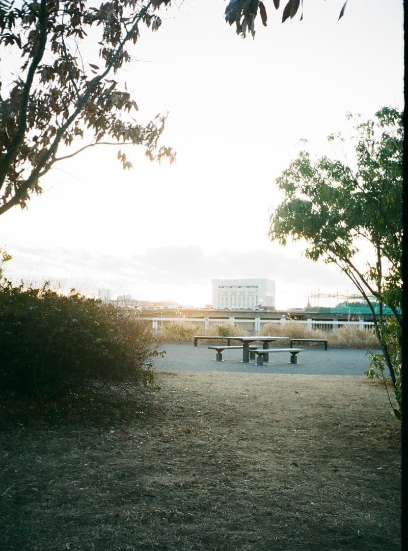 RICOH auto half SE2【整備済完動品】