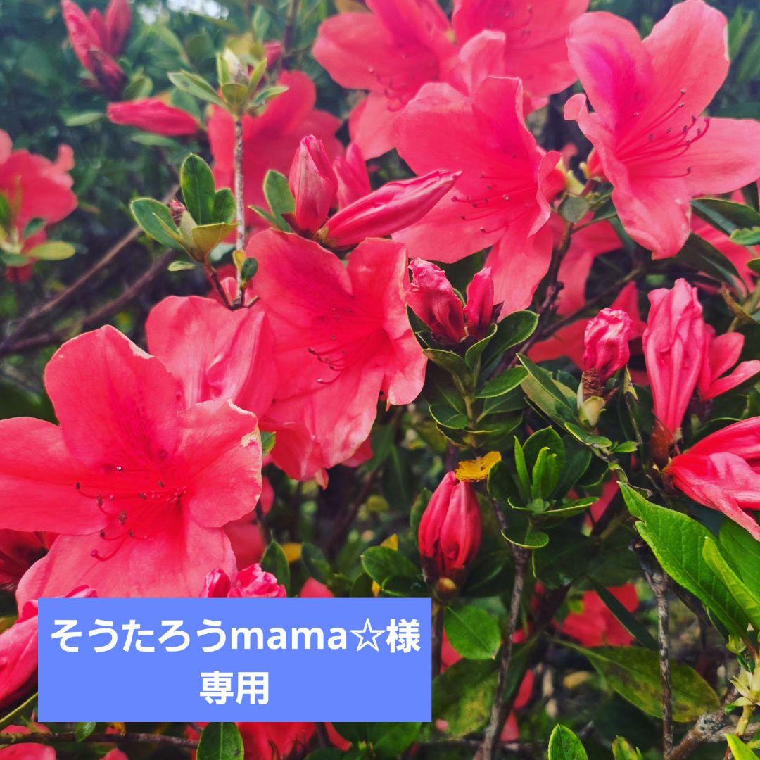 そうたろうmama☆つる