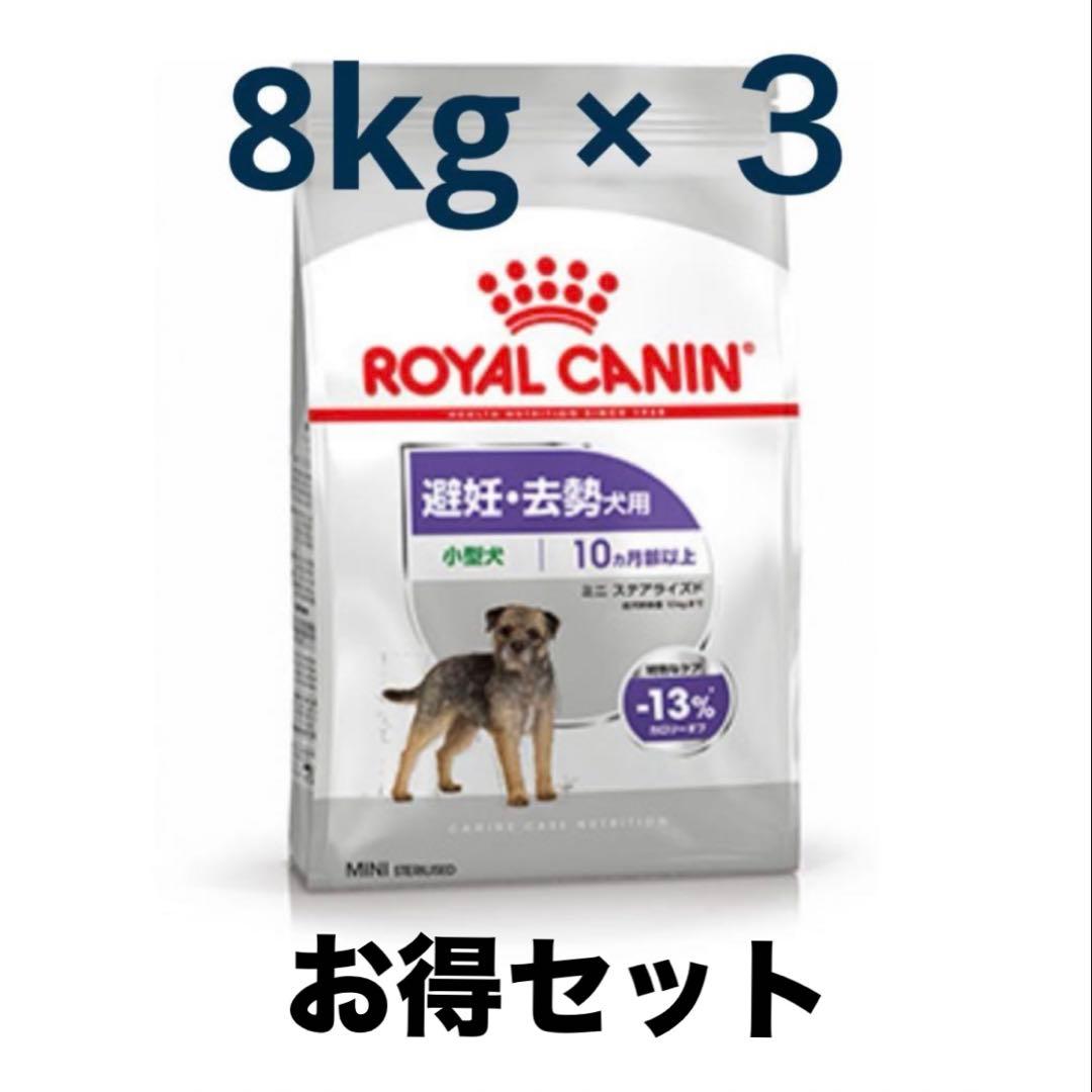  CANIN ミニステアライズド　避妊去勢犬用 8kg×3