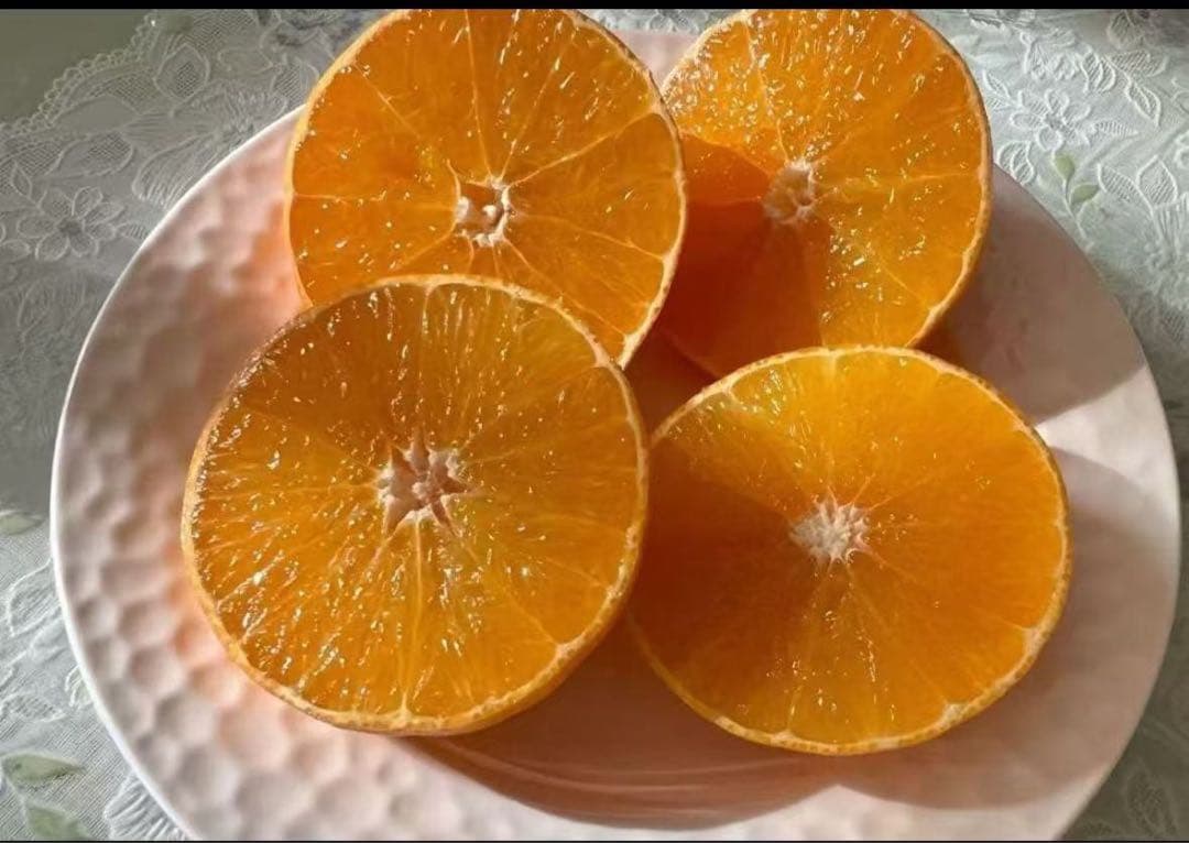 あいか果冻橙5k g*2箱