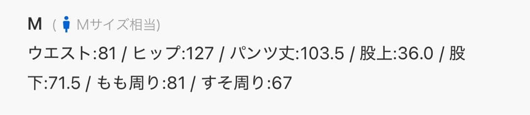 COMME des GARCONS HOMME エステルツイル イージーパンツ