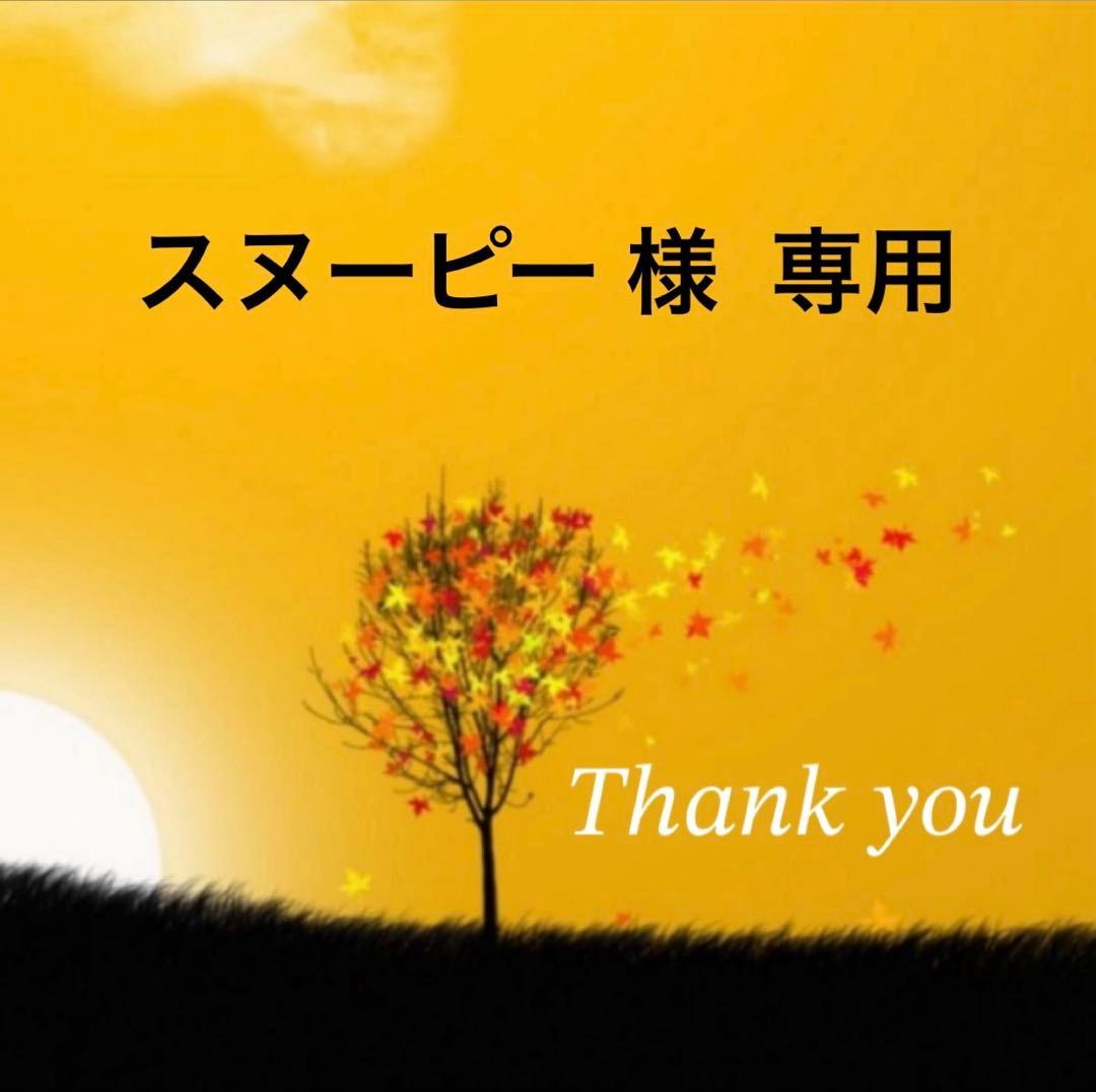 アンファティ シャンプーNA２本 ルージュ ピンク１個