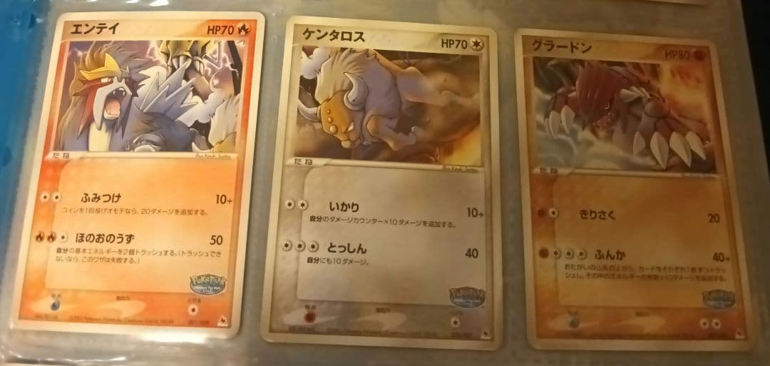 ポケパーク2005年限定　ポケモンカードプレミアムファイル