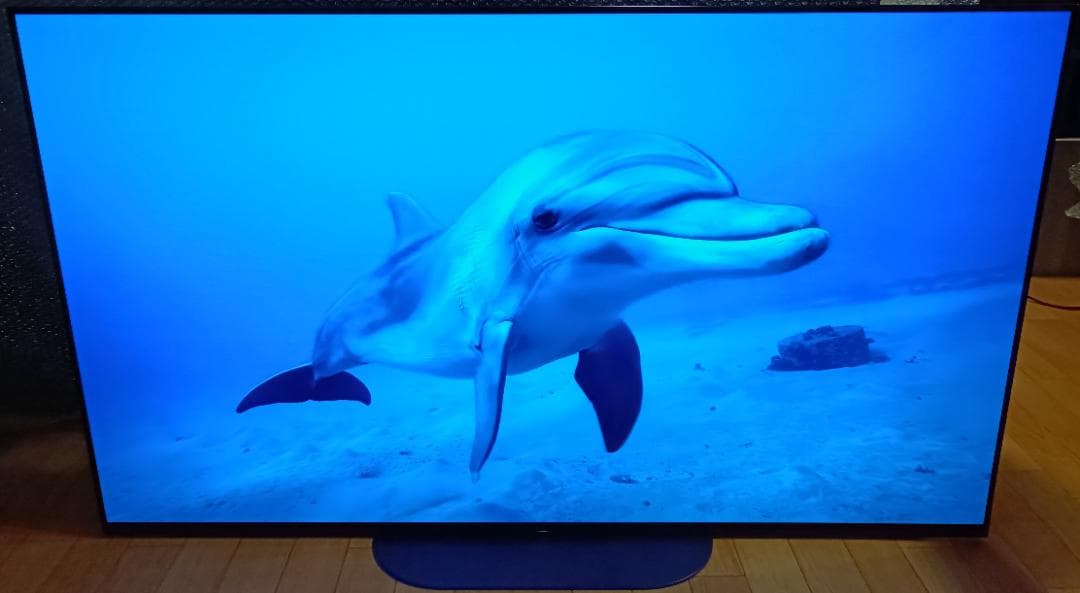 値下げ‼️19年製55V型SONYBRAVIA KJ-55A9G 4K 有機EL