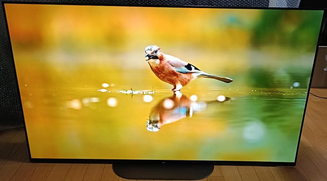 値下げ‼️19年製55V型SONYBRAVIA KJ-55A9G 4K 有機EL