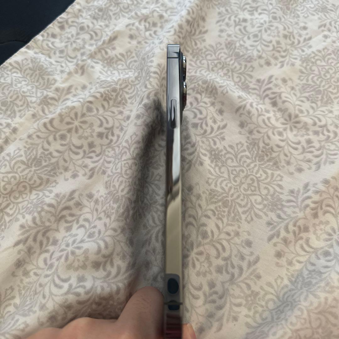 Apple iPhone 13 Pro Max 256GB グラファイト