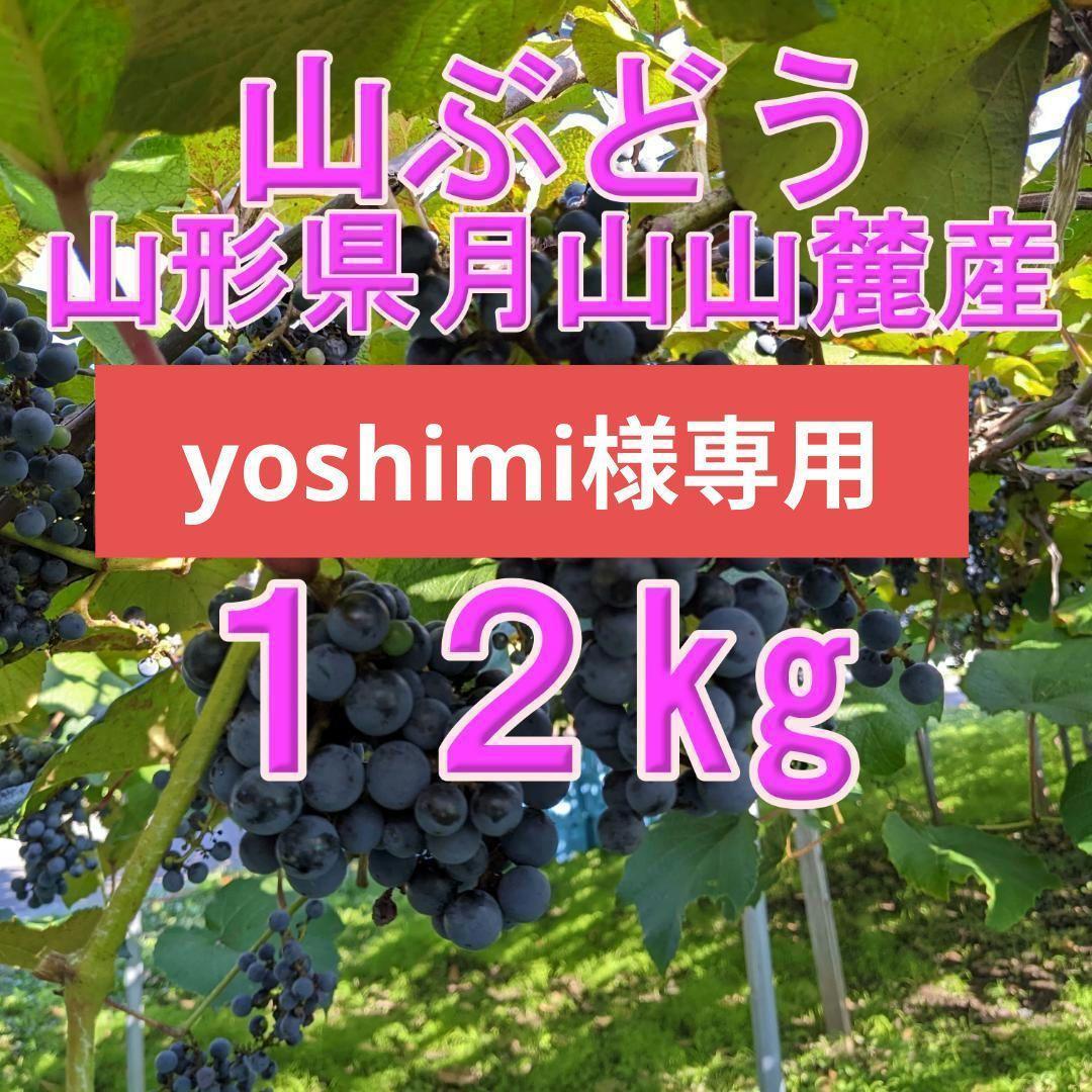 【yoshimi】山ぶどう １2㎏　山形県月山山麓産②