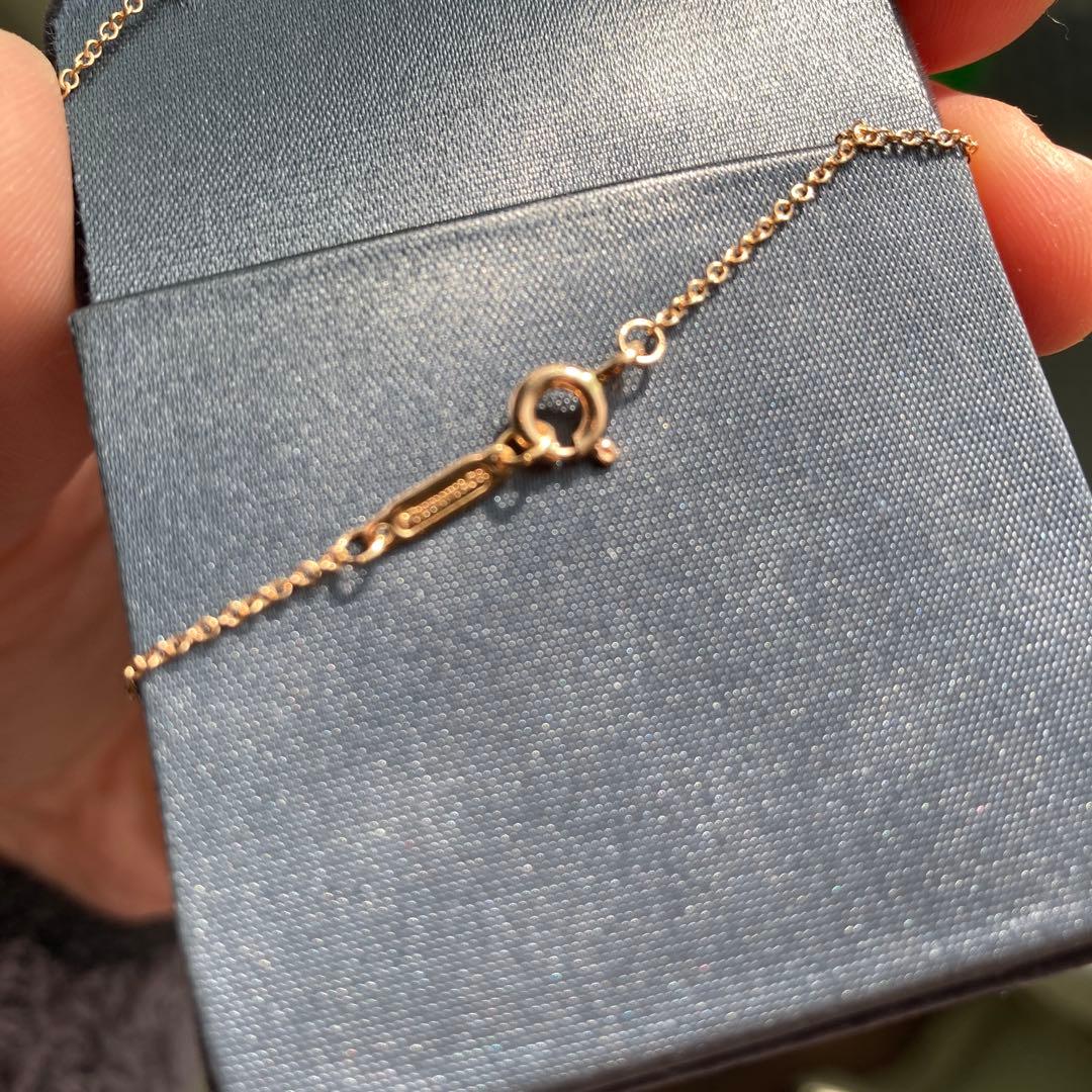 【PumXingy_】ティファニー ネックレス