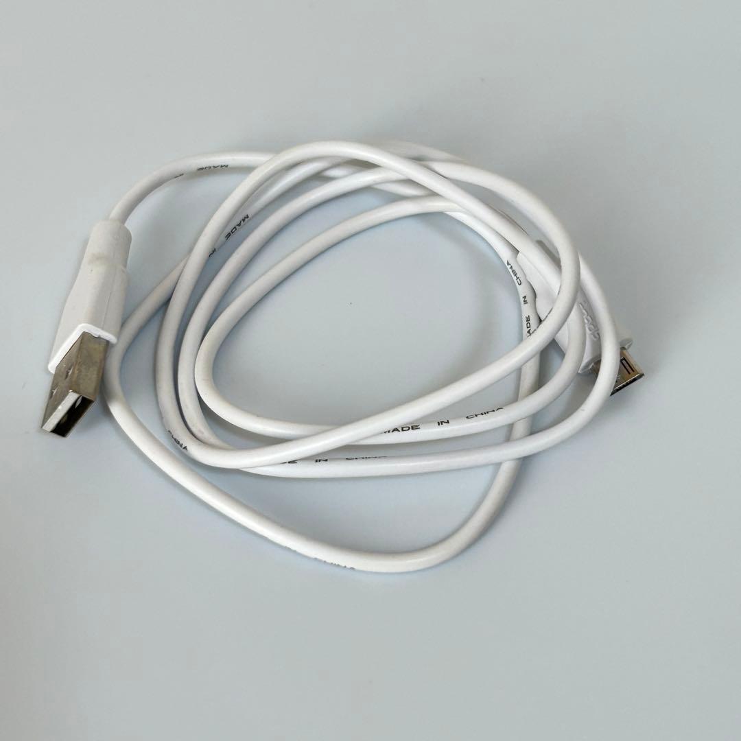 SKIN IRON　スキンアイロン　美顔器　美肌