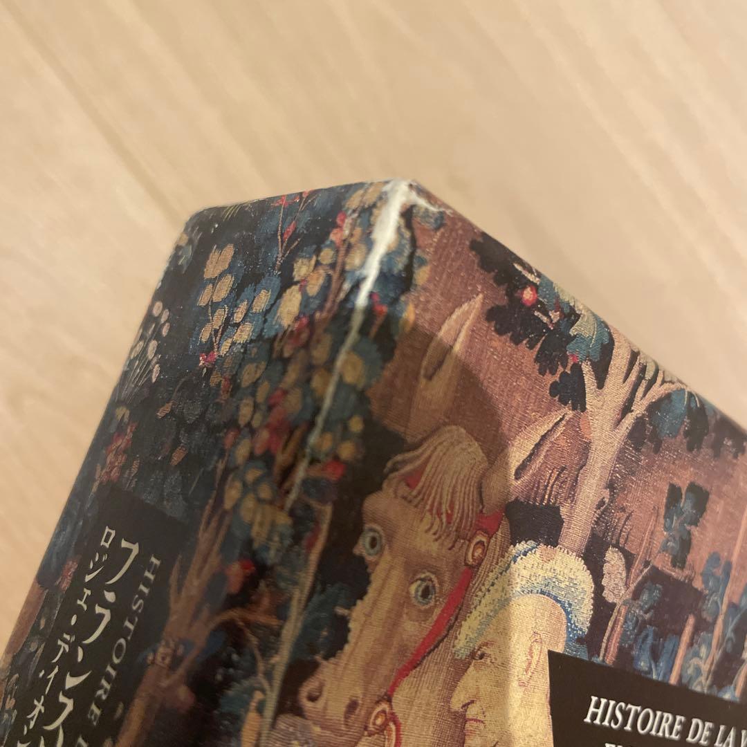 フランスワイン文化史全書 : ぶどう畑とワインの歴史