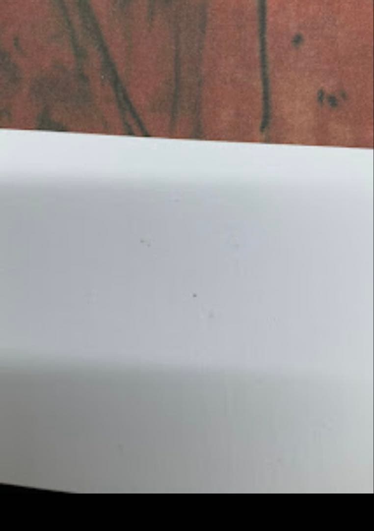 【訳あり】カルメン マルク シャガール リトグラフ 500部 限定 証明書有り