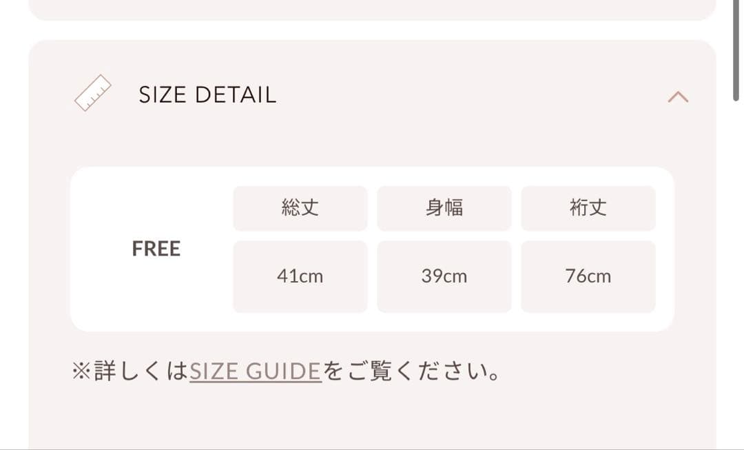 【新品未使用】Hello Darich コンパクトロングTシャツ ホワイト