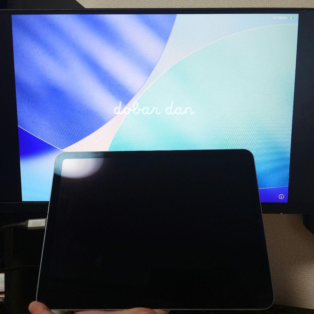 iPadAir第４世代 A14 チップ　ストレージ256GB 画面故障