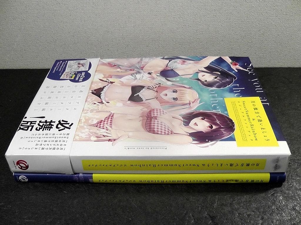 【CD2枚 未開封】 月の彼方で逢いましょう ビジュアルファンブック