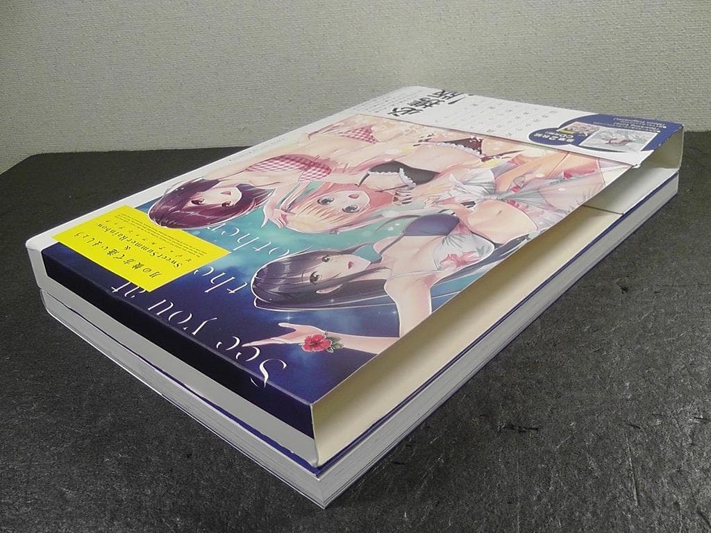 【CD2枚 未開封】 月の彼方で逢いましょう ビジュアルファンブック