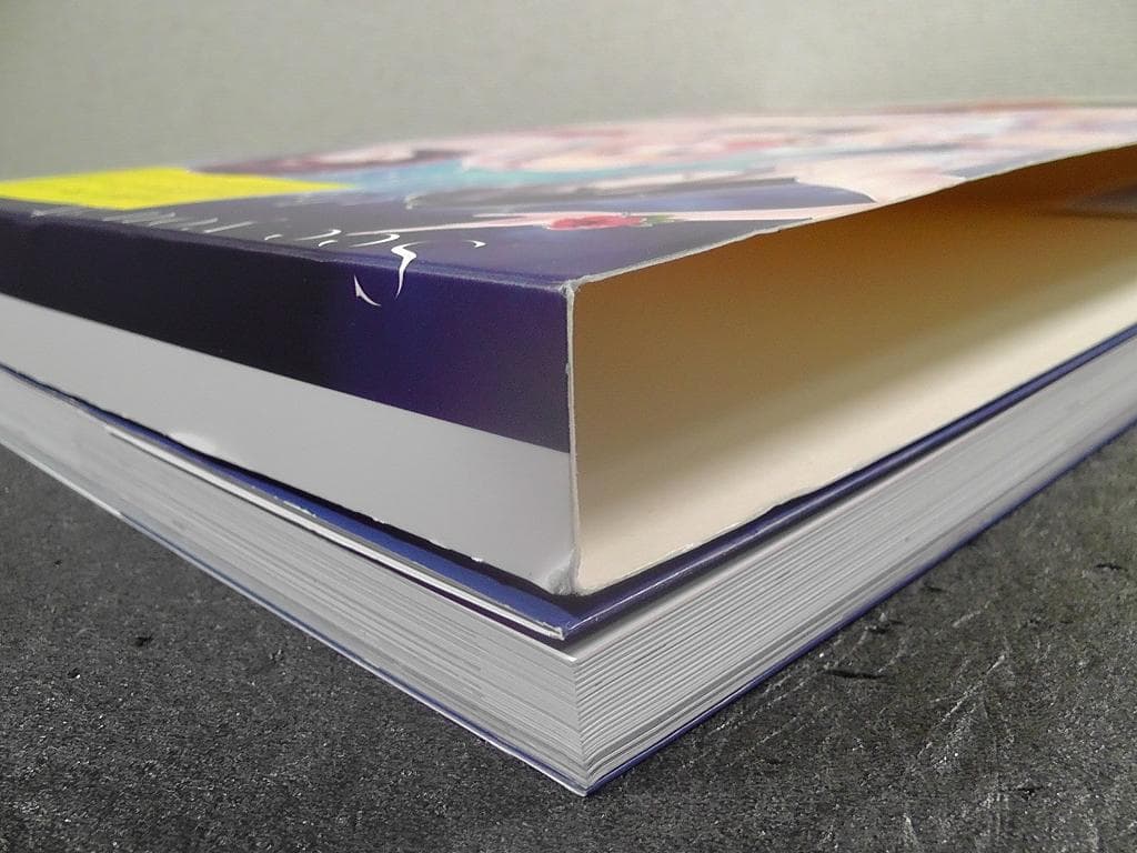 【CD2枚 未開封】 月の彼方で逢いましょう ビジュアルファンブック