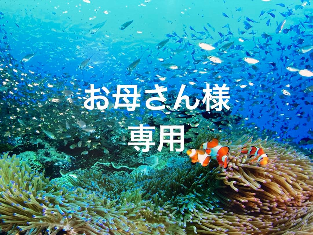 エンビロンCクエンストーナー　セラム4 プラス　ダーマラック