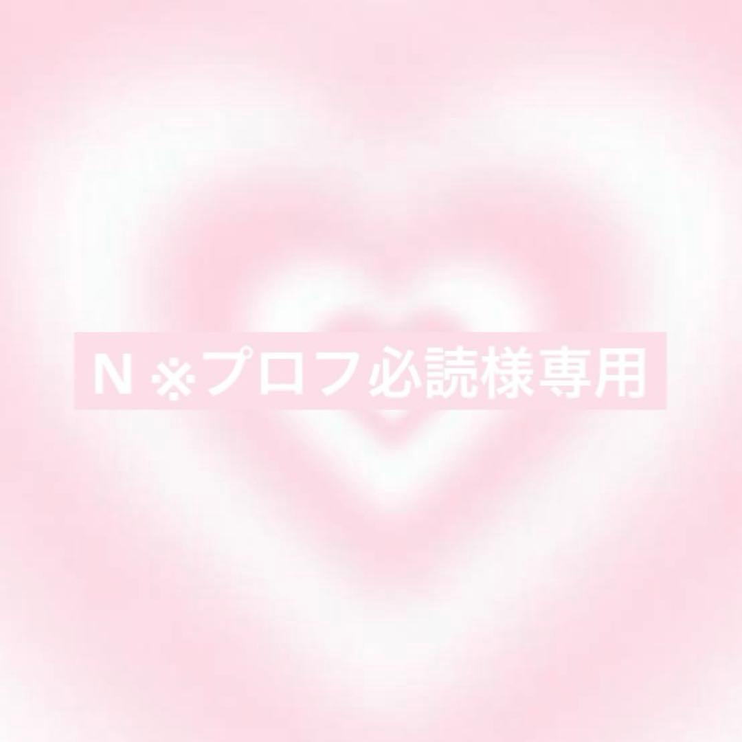 N ※プロフ必読様オーダー3点