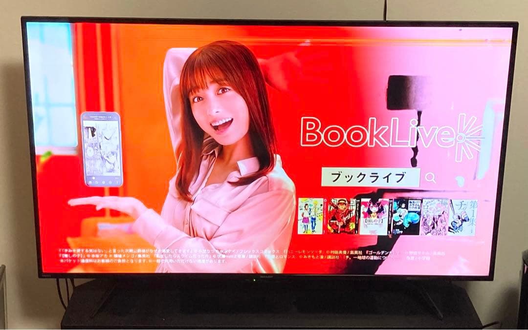 2019年製 SHARP 4T-C50AH2 液晶テレビ (液晶不良あり)