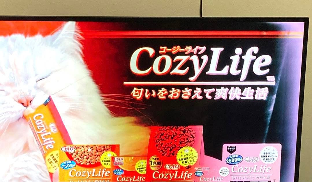 2019年製 SHARP 4T-C50AH2 液晶テレビ (液晶不良あり)