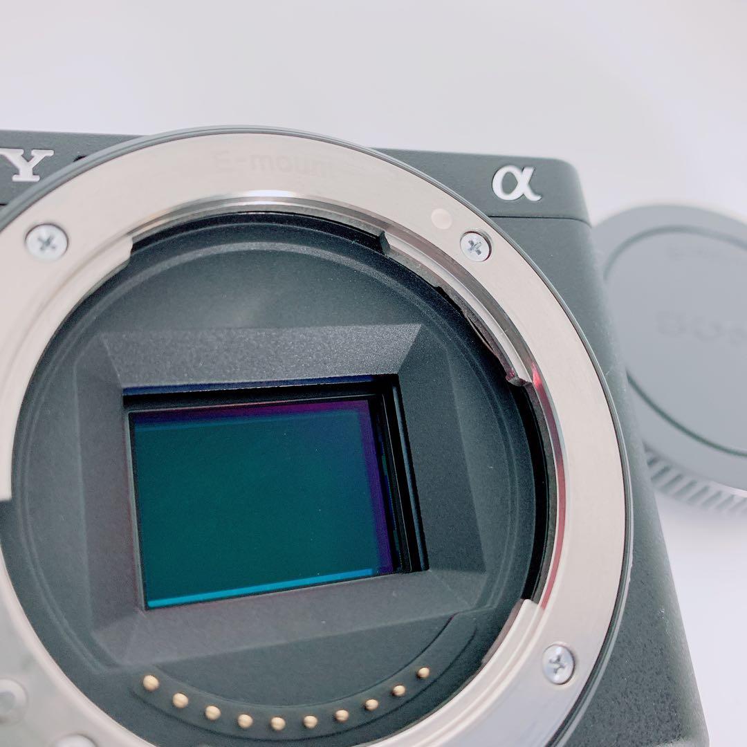 SONY ミラーレス一眼　a6600 ソニー　本体　ブラック　C0245