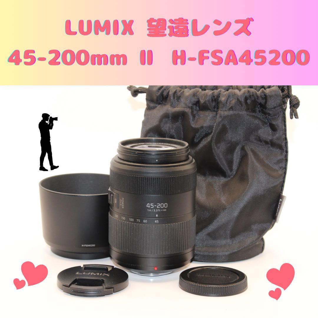 ★純正収納袋★ LUMIX 望遠レンズ　H-FSA045200 45-200mm