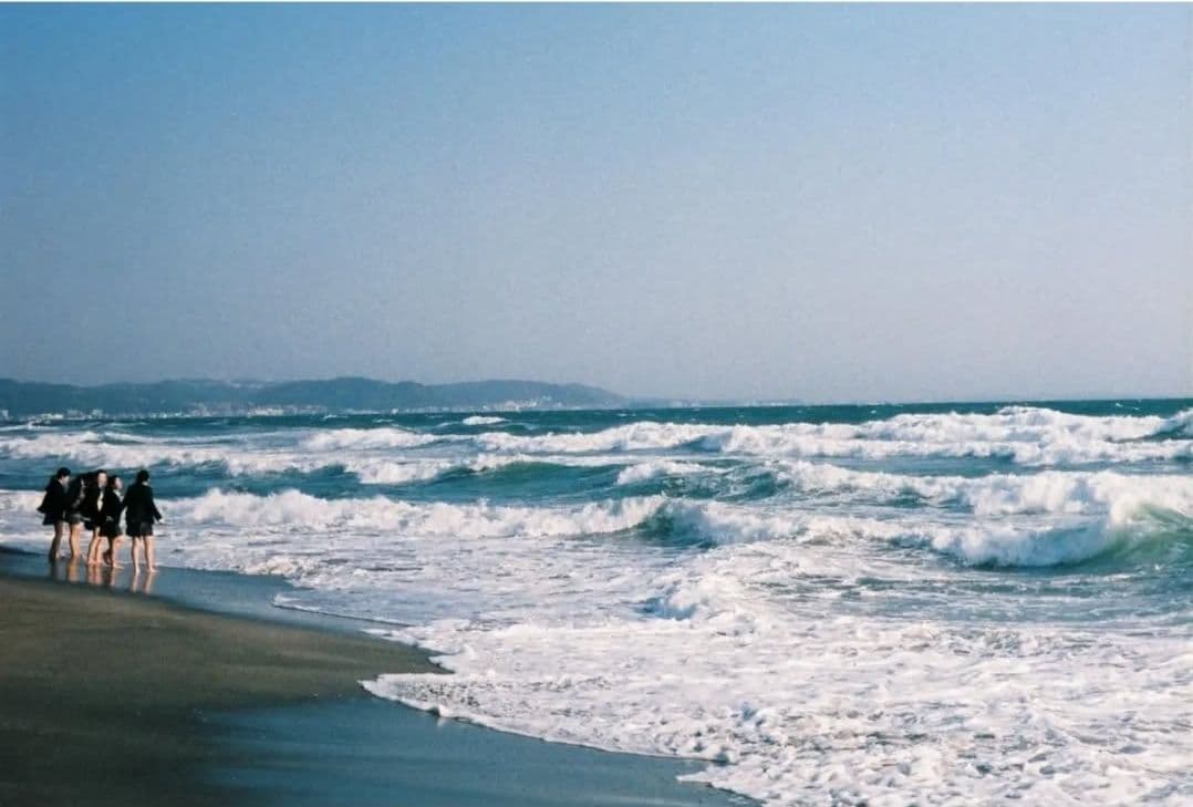 d*7様 【希少・動作確認済み】OLYMPUS PE FT