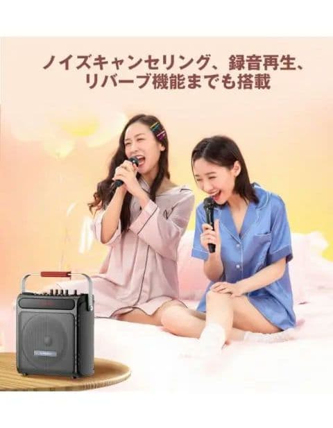 Moon  スピーカーセット カラオケセット マイク２本