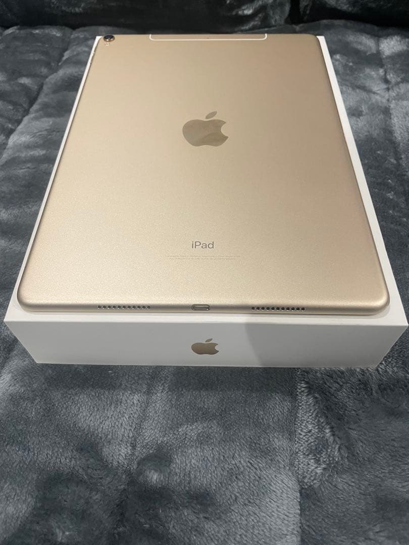 Apple iPad Pro 10.5インチ256GB 箱付き