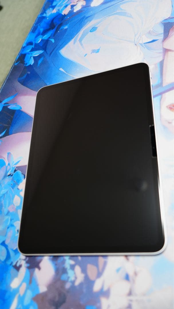 Apple iPad Pro 11インチ シルバー 本体 M4チップ 256GB