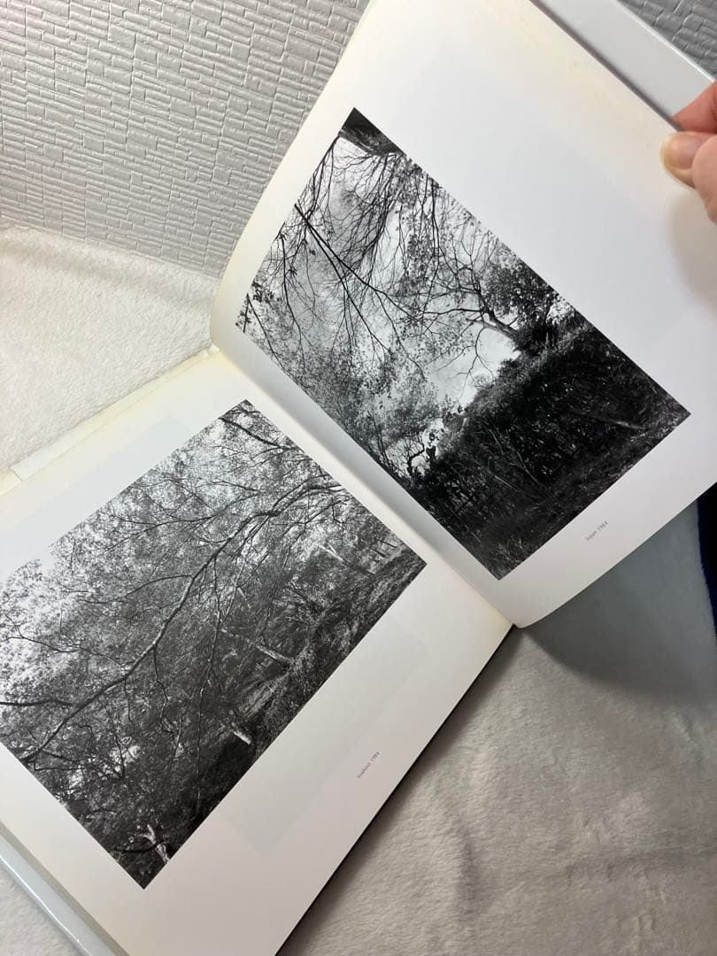 写真集 Lee Friedlander:Woer リー•フリードランダー