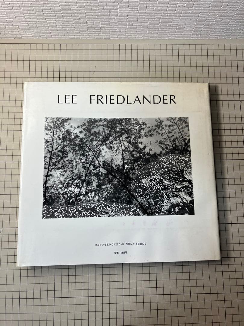 写真集 Lee Friedlander:Woer リー•フリードランダー