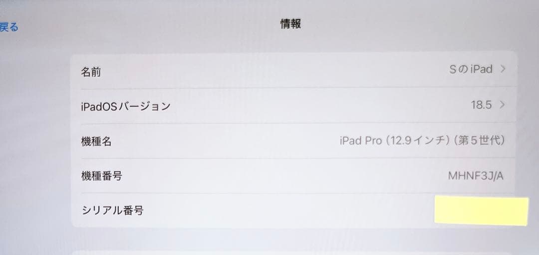 iPad Pro 12.9 (第5世代) 128GB +Apple Pencil