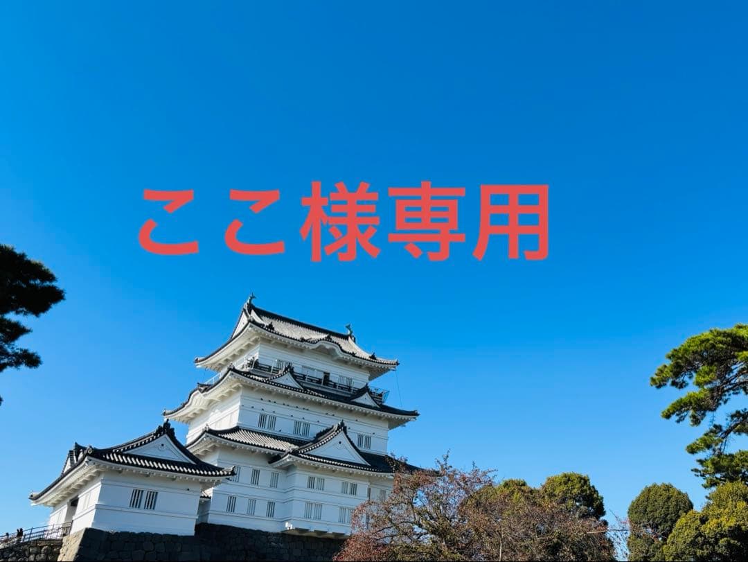 専用ページ　　オーラルbブラウン 電動歯ブラシ