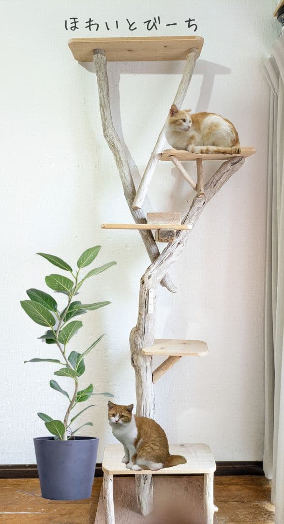 流木キャットタワー『癒しルーム』高さ178cm