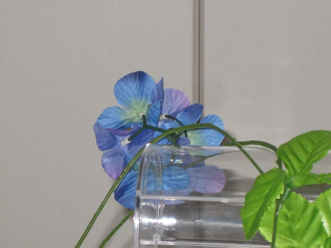 Canon カメラ　IXY 700 PC1169 充電器　箱 コンデジ　動作品