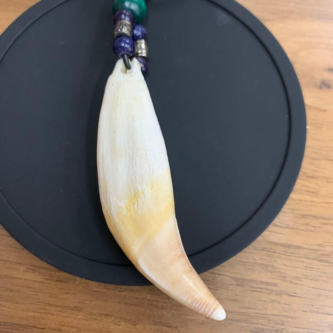 ヒグマ 熊 キバ 牙 キーホルダー