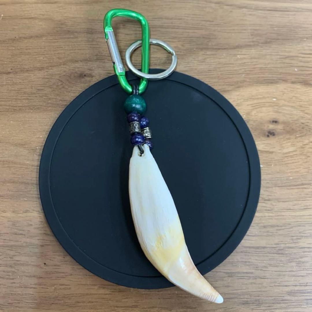 ヒグマ 熊 キバ 牙 キーホルダー