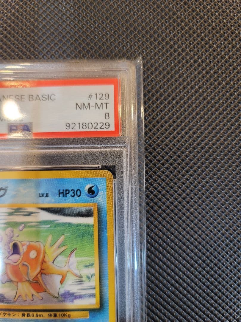 【PSA8】 コイキング　ポケモンカード 旧裏 初版 マークなし