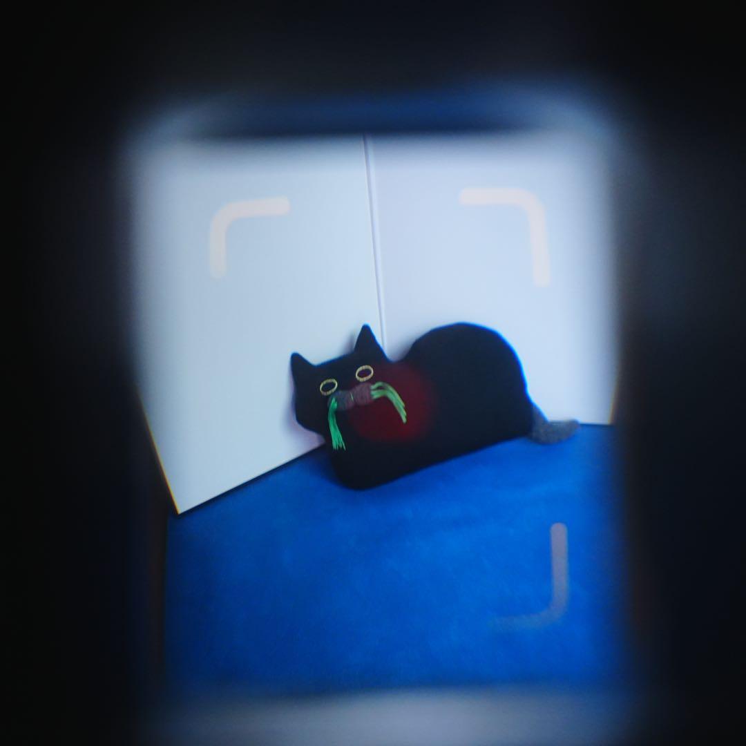 【動作品・実写確認済】RICOH AUTO HALF E2