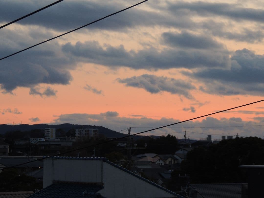 【動作品】光学42倍 Nikon COOLPIX P510 元箱、バッテリー３個