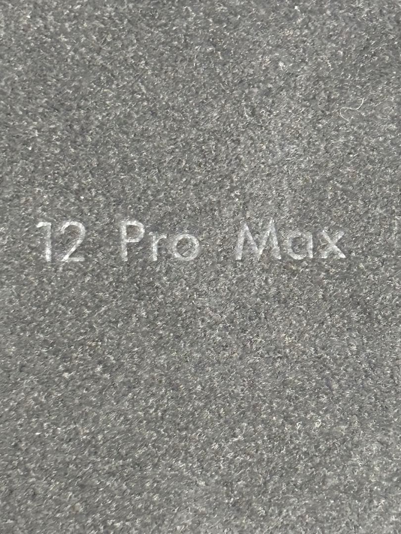 Louis Vuitton iPhone 12 Pro Max ケースのみ