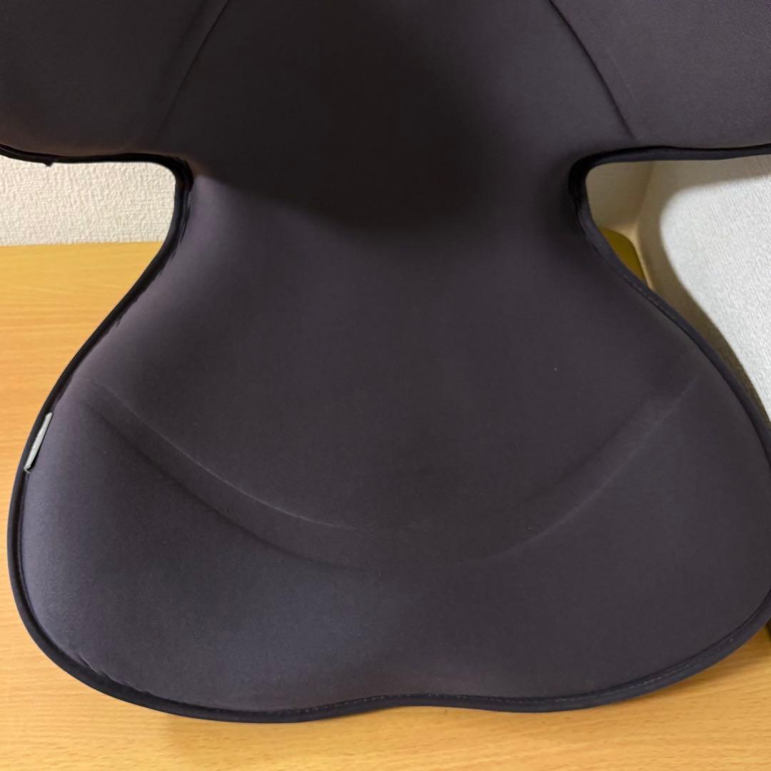 MTG StyIe SMART スタイル スマート 骨盤 姿勢 矯正 ブラウン